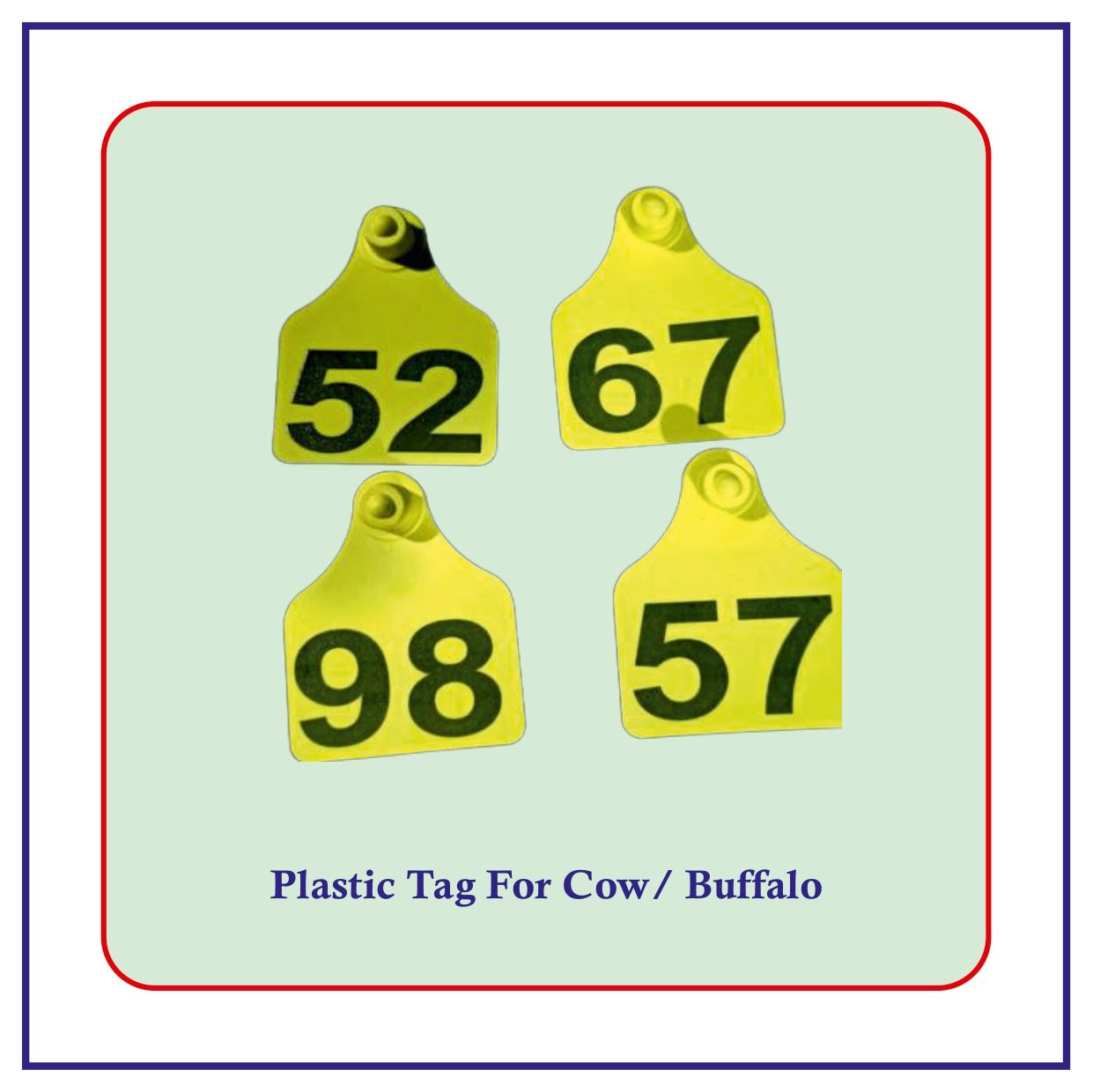 Plastic Tag For Cattel 1 Plastic Tag For Cattel