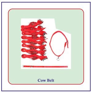 Cow Belt